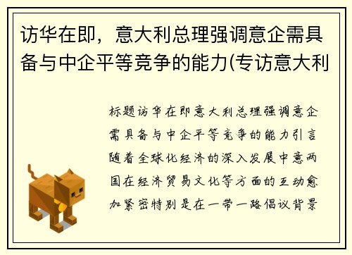 访华在即，意大利总理强调意企需具备与中企平等竞争的能力(专访意大利驻华大使)