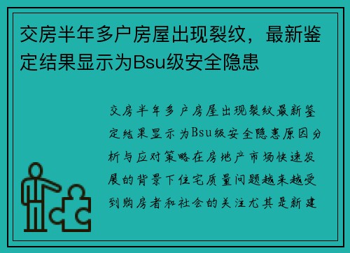 交房半年多户房屋出现裂纹，最新鉴定结果显示为Bsu级安全隐患