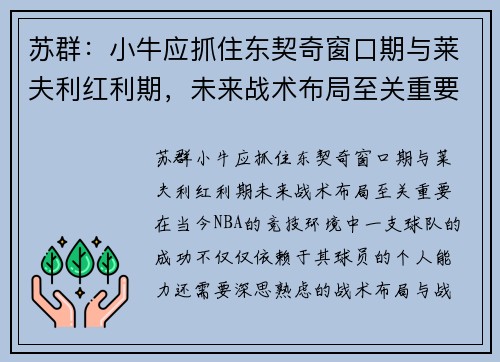 苏群：小牛应抓住东契奇窗口期与莱夫利红利期，未来战术布局至关重要