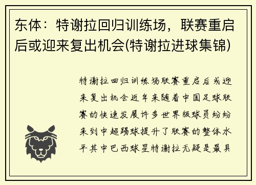 东体：特谢拉回归训练场，联赛重启后或迎来复出机会(特谢拉进球集锦)