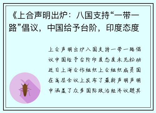 《上合声明出炉：八国支持“一带一路”倡议，中国给予台阶，印度态度未见松动》